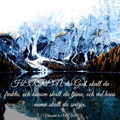 Picture 03 - 5 Mosebok 6:13 SV1917 - HERREN, din Gud, skall du frukta, och honom skall - Bible Verse Picture