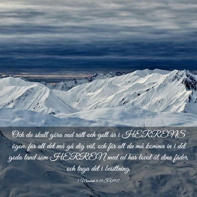 Picture 03 - 5 Mosebok 6:18 SV1917 - Och du skall göra vad rätt och gott är i - Bible Verse Picture