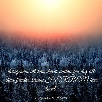 Picture 03 - 5 Mosebok 6:19 SV1917 - därigenom att han driver undan för dig all dina - Bible Verse Picture