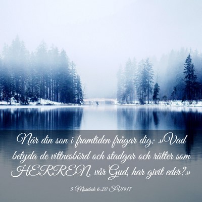 Picture 03 - 5 Mosebok 6:20 SV1917 - När din son i framtiden frågar dig: »Vad - Bible Verse Picture