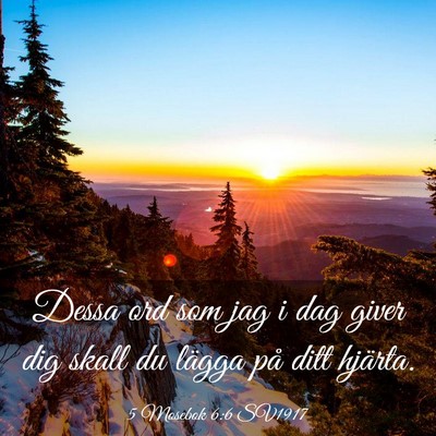 Picture 03 - 5 Mosebok 6:6 SV1917 - Dessa ord som jag i dag giver dig skall du lägga - Bible Verse Picture