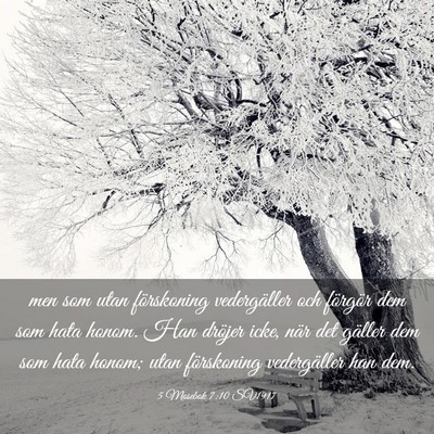 Picture 03 - 5 Mosebok 7:10 SV1917 - men som utan förskoning vedergäller och - Bible Verse Picture