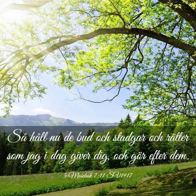 Picture 03 - 5 Mosebok 7:11 SV1917 - Så håll nu de bud och stadgar och rätter som - Bible Verse Picture
