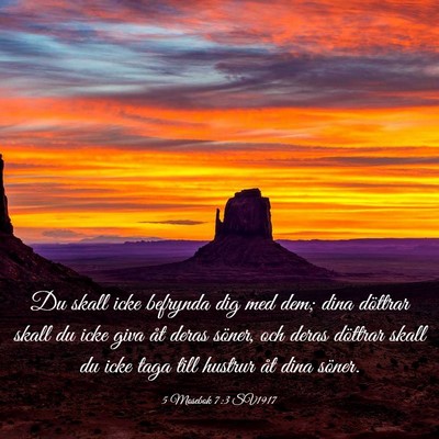 Picture 03 - 5 Mosebok 7:3 SV1917 - Du skall icke befrynda dig med dem; dina döttrar - Bible Verse Picture