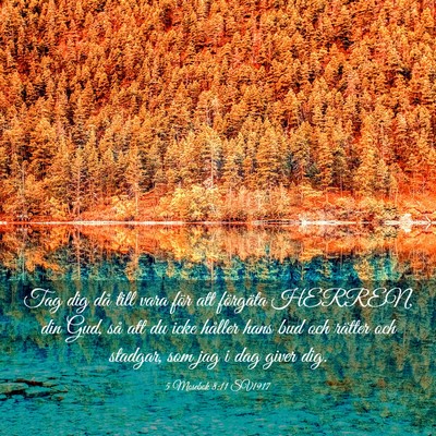 Picture 03 - 5 Mosebok 8:11 SV1917 - Tag dig då till vara för att förgäta HERREN, - Bible Verse Picture