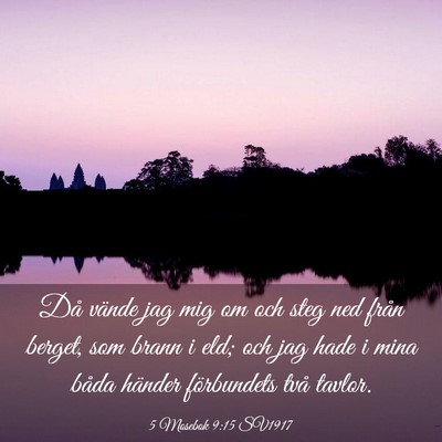 Picture 03 - 5 Mosebok 9:15 SV1917 - Då vände jag mig om och steg ned från berget, - Bible Verse Picture