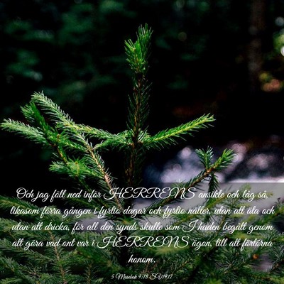 Picture 03 - 5 Mosebok 9:18 SV1917 - Och jag föll ned inför HERRENS ansikte och låg - Bible Verse Picture
