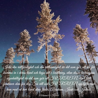 Picture 03 - 5 Mosebok 9:5 SV1917 - Icke din rättfärdighet och din rättsinnighet - Bible Verse Picture