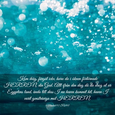 Picture 03 - 5 Mosebok 9:7 SV1917 - Kom ihåg, förgät icke, huru du i öknen - Bible Verse Picture