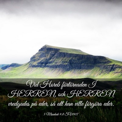 Picture 03 - 5 Mosebok 9:8 SV1917 - Vid Horeb förtörnaden I HERREN, och HERREN - Bible Verse Picture