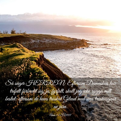 Picture 03 - Amos 1:3 SV1917 - Så säger HERREN: Eftersom Damaskus har trefalt - Bible Verse Picture