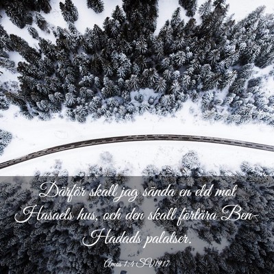 Picture 03 - Amos 1:4 SV1917 - Därför skall jag sända en eld mot Hasaels hus, - Bible Verse Picture