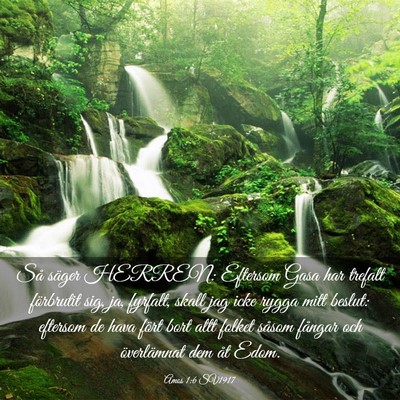 Picture 03 - Amos 1:6 SV1917 - Så säger HERREN: Eftersom Gasa har trefalt - Bible Verse Picture