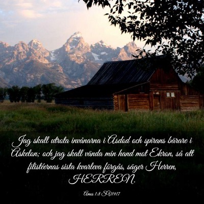 Picture 03 - Amos 1:8 SV1917 - Jag skall utrota invånarna i Asdod och spirans - Bible Verse Picture