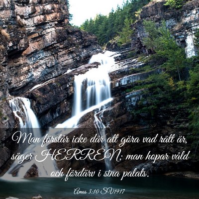 Picture 03 - Amos 3:10 SV1917 - Man förstår icke där att göra vad rätt är, - Bible Verse Picture
