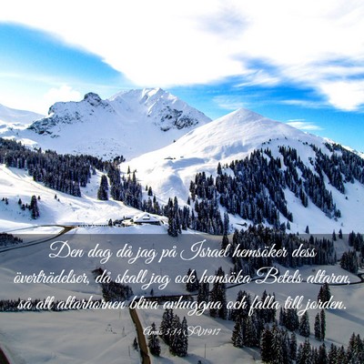 Picture 03 - Amos 3:14 SV1917 - Den dag då jag på Israel hemsöker dess - Bible Verse Picture