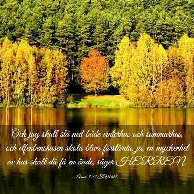 Picture 03 - Amos 3:15 SV1917 - Och jag skall slå ned både vinterhus och - Bible Verse Picture