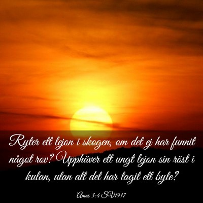 Picture 03 - Amos 3:4 SV1917 - Ryter ett lejon i skogen, om det ej har funnit - Bible Verse Picture