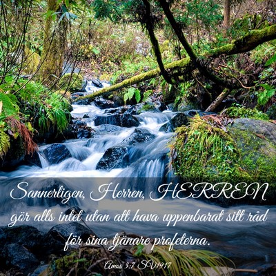 Picture 03 - Amos 3:7 SV1917 - Sannerligen, Herren, HERREN gör alls intet utan - Bible Verse Picture