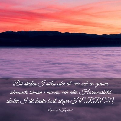 Picture 03 - Amos 4:3 SV1917 - Då skolen I söka eder ut, var och en genom - Bible Verse Picture