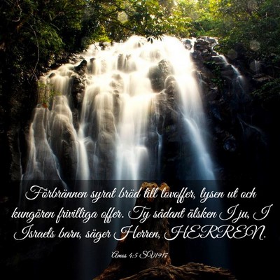 Picture 03 - Amos 4:5 SV1917 - Förbrännen syrat bröd till lovoffer, lysen ut - Bible Verse Picture