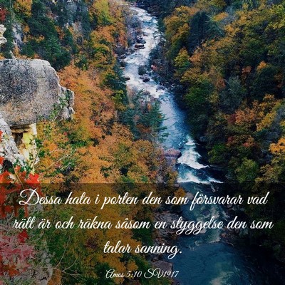 Picture 03 - Amos 5:10 SV1917 - Dessa hata i porten den som försvarar vad rätt - Bible Verse Picture