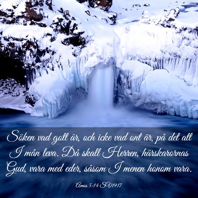 Picture 03 - Amos 5:14 SV1917 - Söken vad gott är, och icke vad ont är, på - Bible Verse Picture