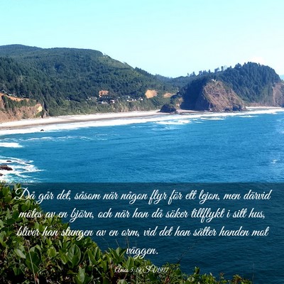 Picture 03 - Amos 5:19 SV1917 - Då går det, såsom när någon flyr för ett - Bible Verse Picture