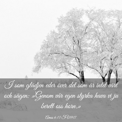 Picture 03 - Amos 6:13 SV1917 - I som glädjen eder över det som är intet värt - Bible Verse Picture
