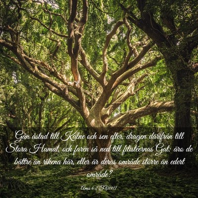 Picture 03 - Amos 6:2 SV1917 - Gån åstad till Kalne och sen efter, dragen - Bible Verse Picture