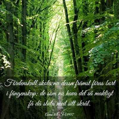 Picture 03 - Amos 6:7 SV1917 - Fördenskull skola nu dessa främst föras bort i - Bible Verse Picture