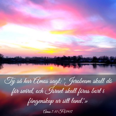 Picture 03 - Amos 7:11 SV1917 - Ty så har Amos sagt: 'Jerobeam skall dö för - Bible Verse Picture