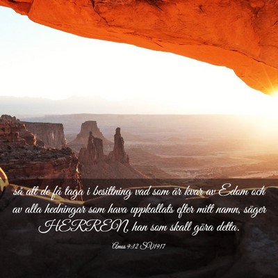 Picture 03 - Amos 9:12 SV1917 - så att de få taga i besittning vad som är kvar - Bible Verse Picture