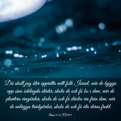 Picture 03 - Amos 9:14 SV1917 - Då skall jag åter upprätta mitt folk Israel; - Bible Verse Picture