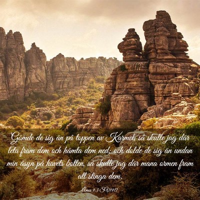 Picture 03 - Amos 9:3 SV1917 - Gömde de sig än på toppen av Karmel, så - Bible Verse Picture