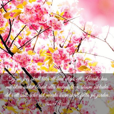 Picture 03 - Amos 9:9 SV1917 - Ty se, jag skall låta ett bud utgå, att Israels - Bible Verse Picture