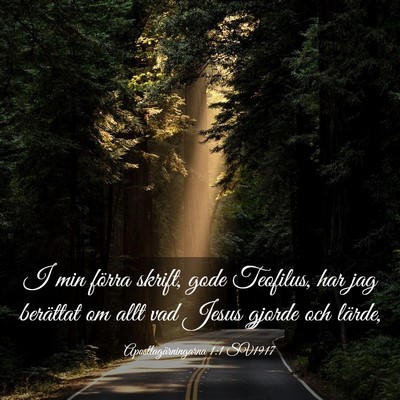 Picture 03 - Apostlagärningarna 1:1 SV1917 - I min förra skrift, gode Teofilus, har jag - Bible Verse Picture