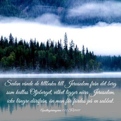 Picture 03 - Apostlagärningarna 1:12 SV1917 - Sedan vände de tillbaka till Jerusalem från det - Bible Verse Picture