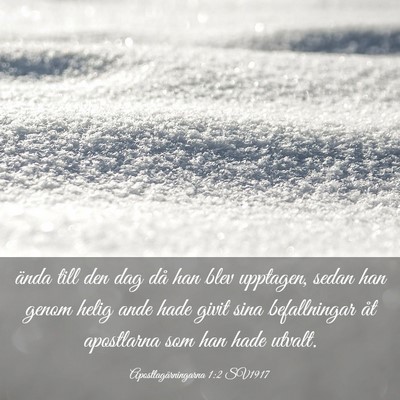 Picture 03 - Apostlagärningarna 1:2 SV1917 - ända till den dag då han blev upptagen, sedan - Bible Verse Picture