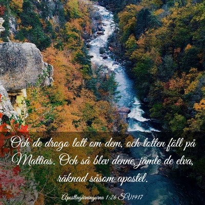 Picture 03 - Apostlagärningarna 1:26 SV1917 - Och de drogo lott om dem, och lotten föll på - Bible Verse Picture