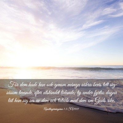 Picture 03 - Apostlagärningarna 1:3 SV1917 - För dem hade han ock genom många säkra bevis - Bible Verse Picture