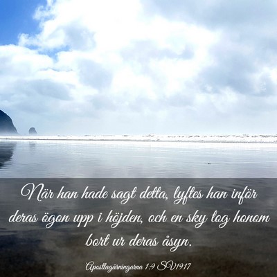 Picture 03 - Apostlagärningarna 1:9 SV1917 - När han hade sagt detta, lyftes han inför deras - Bible Verse Picture