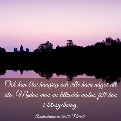 Picture 03 - Apostlagärningarna 10:10 SV1917 - Och han blev hungrig och ville hava något att - Bible Verse Picture