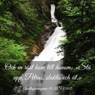 Picture 03 - Apostlagärningarna 10:13 SV1917 - Och en röst kom till honom: »Stå upp, Petrus, - Bible Verse Picture