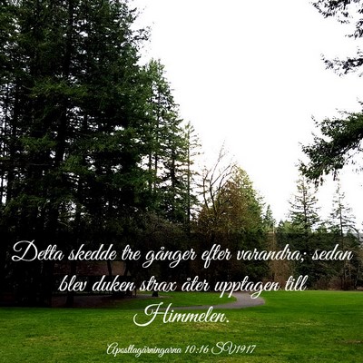 Picture 03 - Apostlagärningarna 10:16 SV1917 - Detta skedde tre gånger efter varandra; sedan - Bible Verse Picture
