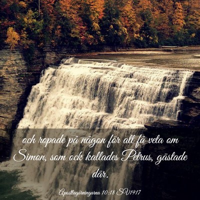 Picture 03 - Apostlagärningarna 10:18 SV1917 - och ropade på någon för att få veta om Simon, - Bible Verse Picture