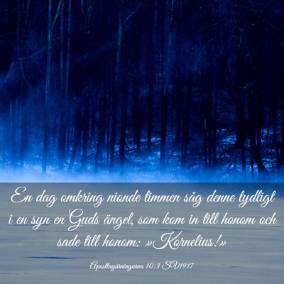 Picture 03 - Apostlagärningarna 10:3 SV1917 - En dag omkring nionde timmen såg denne tydligt i - Bible Verse Picture