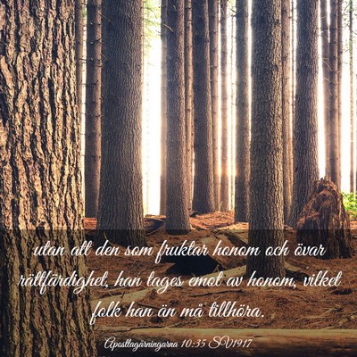 Picture 03 - Apostlagärningarna 10:35 SV1917 - utan att den som fruktar honom och övar - Bible Verse Picture