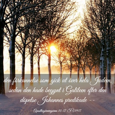 Picture 03 - Apostlagärningarna 10:37 SV1917 - den förkunnelse som gick ut över hela Judeen, - Bible Verse Picture