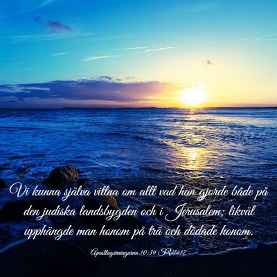 Picture 03 - Apostlagärningarna 10:39 SV1917 - Vi kunna själva vittna om allt vad han gjorde - Bible Verse Picture